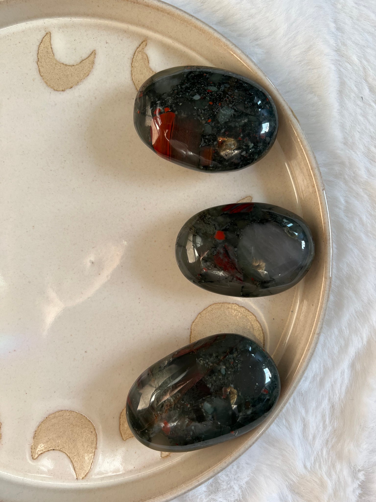 African bloodstone palm