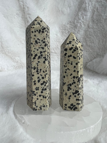 Dalmatian Jasper
