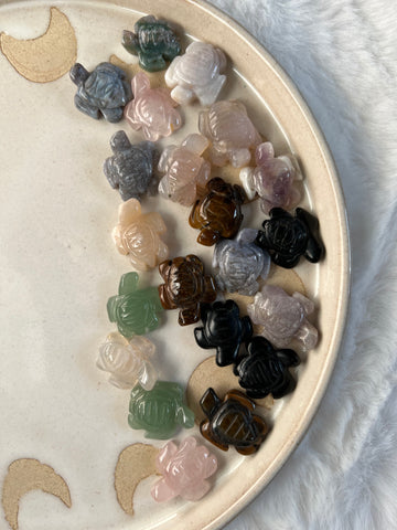 Crystal mini turtles