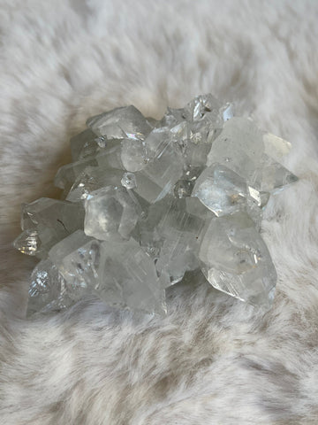 Diamond Apophyllite clusters