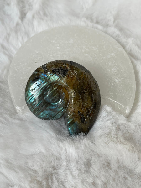 Labradorite shell