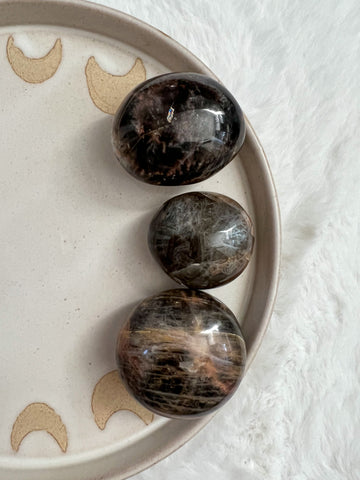 Black moonstone palm