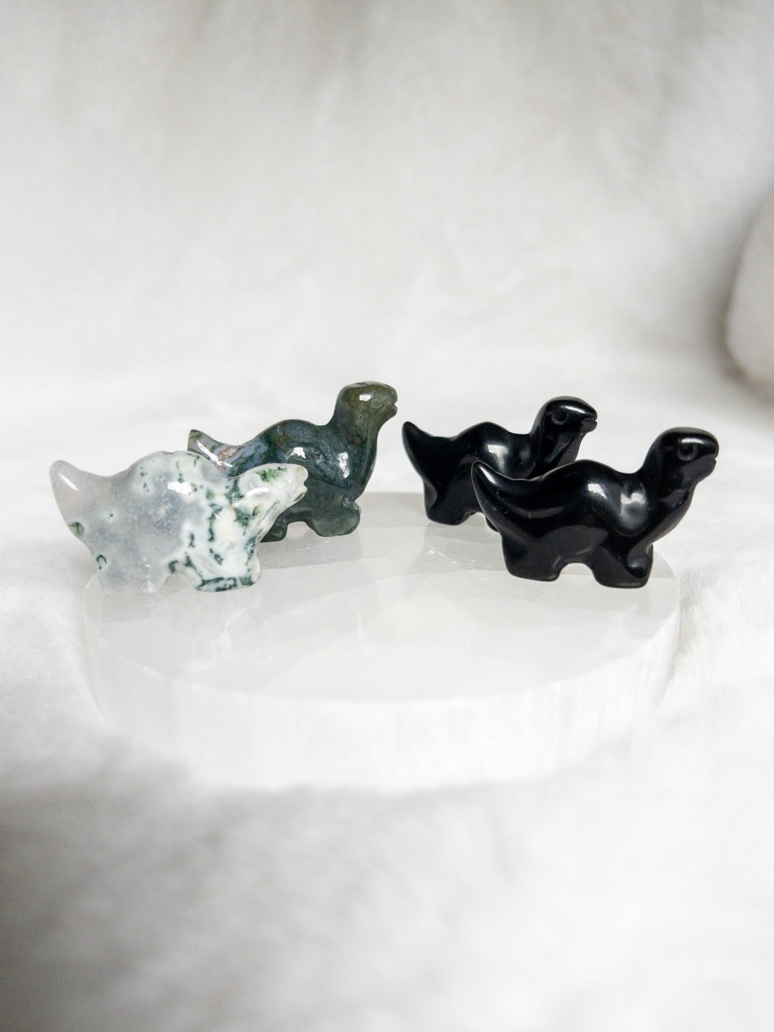 Small crystal brachiosaurus