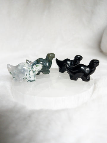 Small crystal brachiosaurus