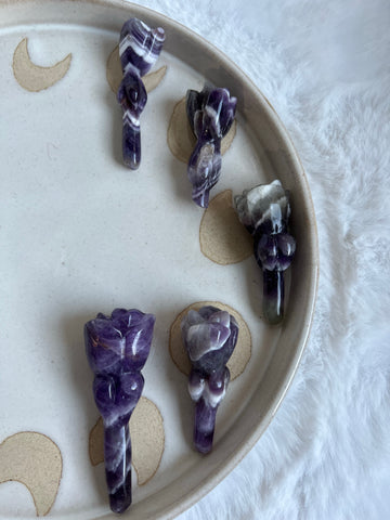 Dream amethyst rose